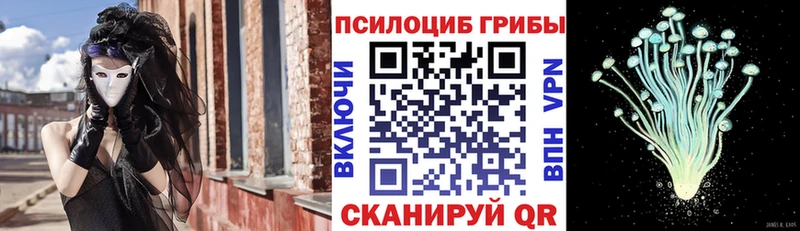 Галлюциногенные грибы Psilocybe  Поворино 