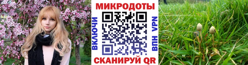 Псилоцибиновые грибы ЛСД Поворино